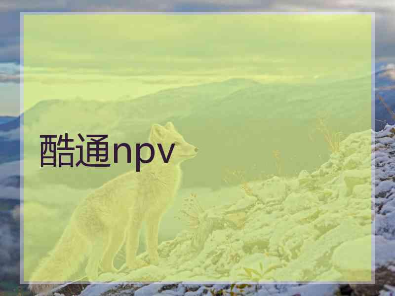 酷通npv