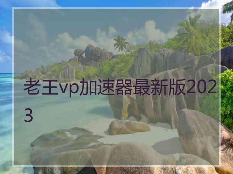 老王vp加速器最新版2023