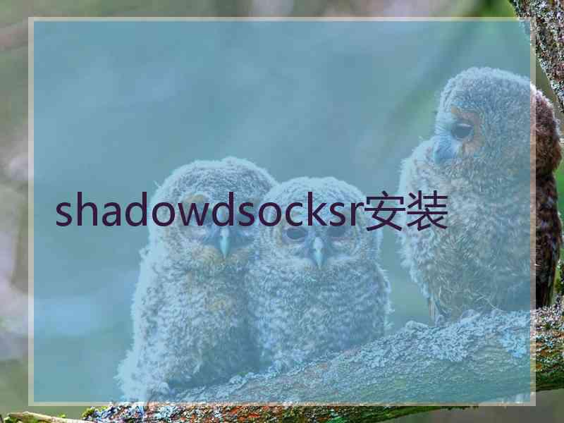 shadowdsocksr安装