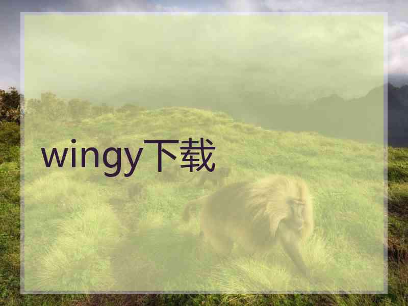 wingy下载