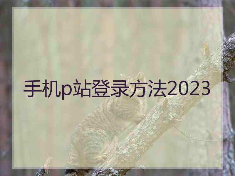 手机p站登录方法2023