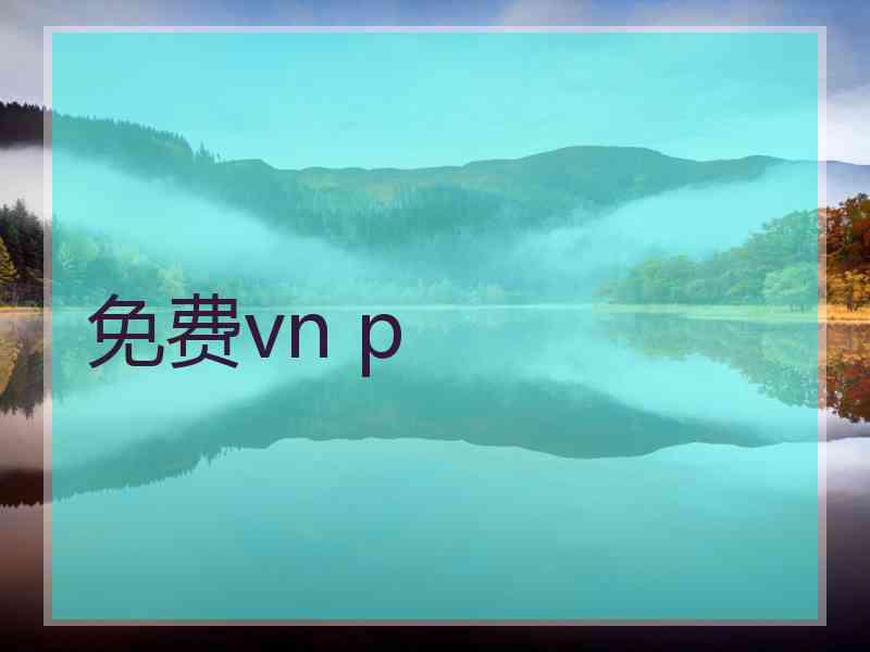 免费vn p