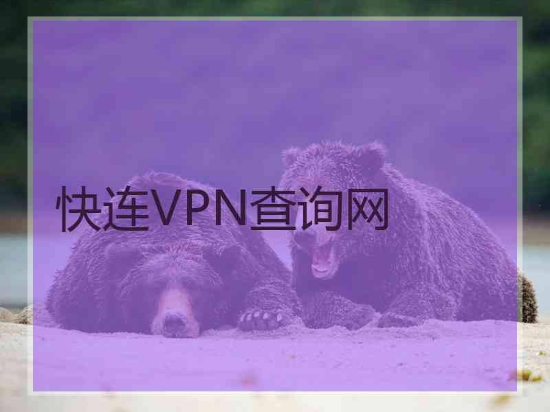 快连VPN查询网