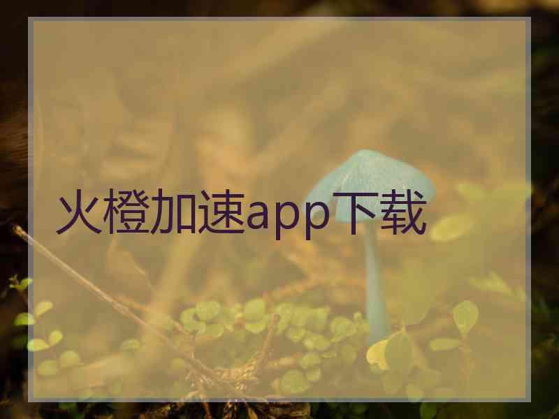 火橙加速app下载