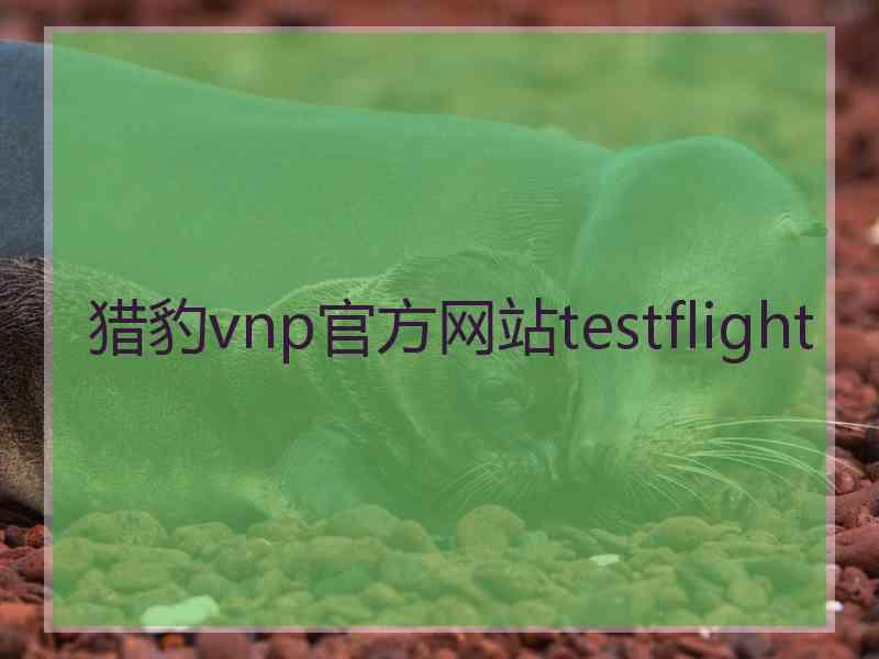 猎豹vnp官方网站testflight