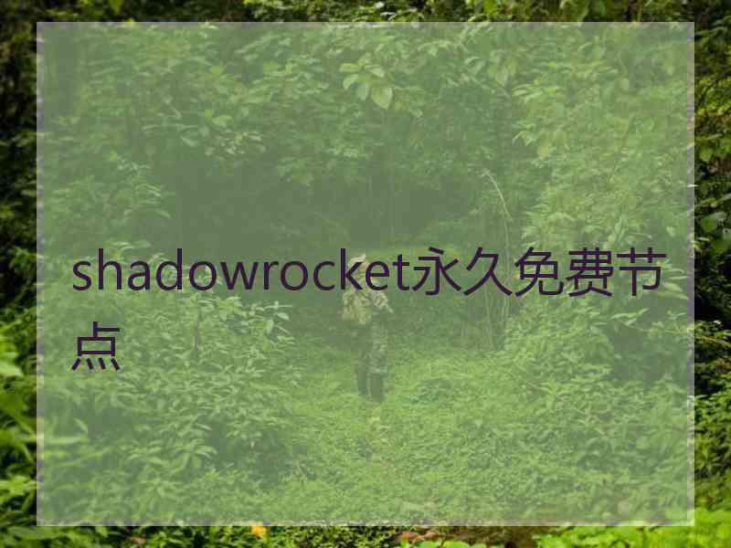 shadowrocket永久免费节点