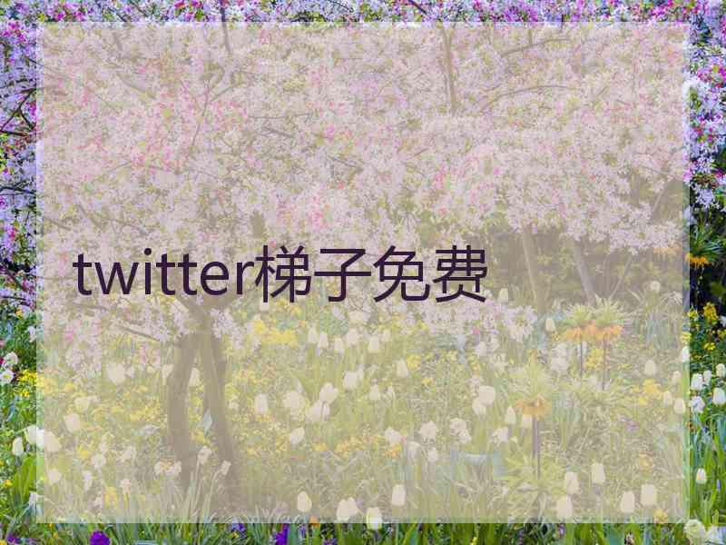 twitter梯子免费