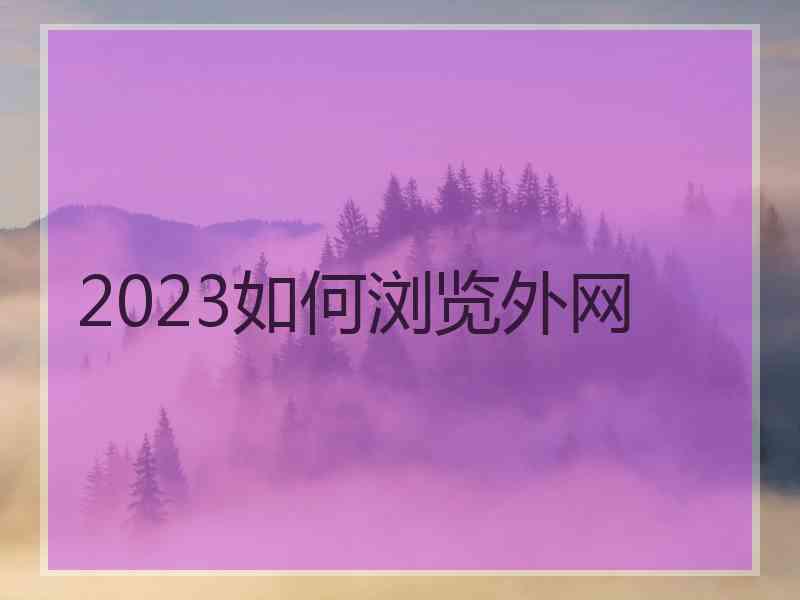 2023如何浏览外网