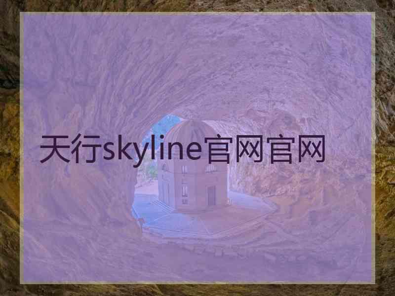 天行skyline官网官网