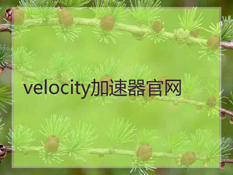 velocity加速器官网