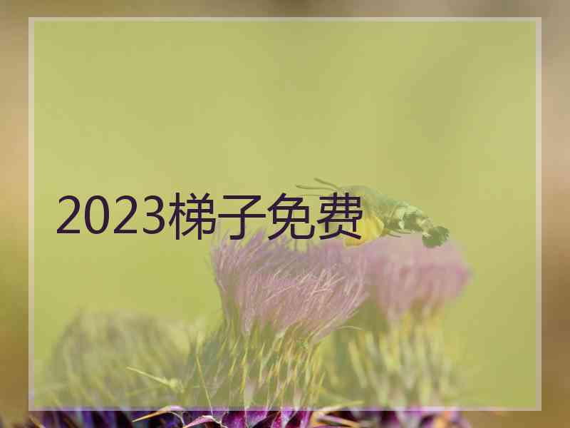 2023梯子免费