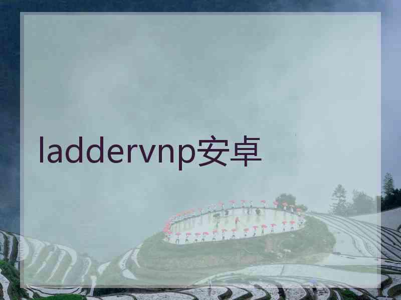 laddervnp安卓