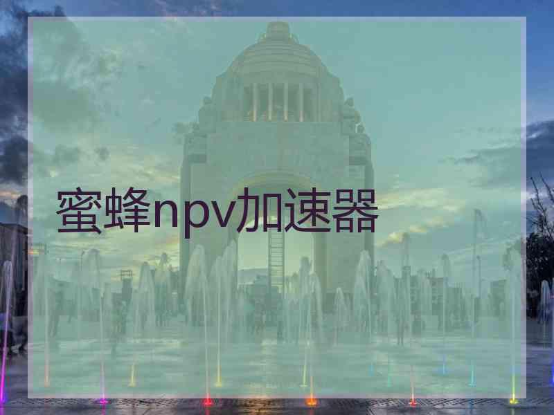 蜜蜂npv加速器