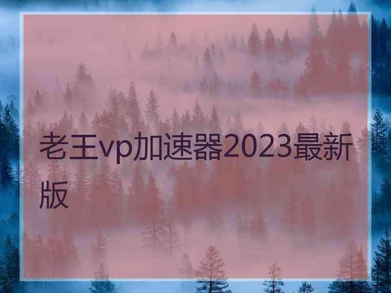 老王vp加速器2023最新版