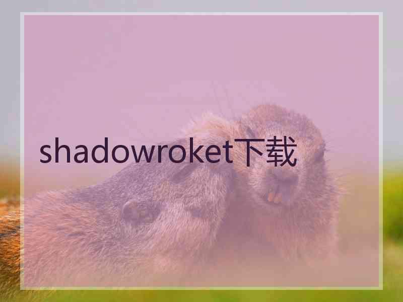 shadowroket下载