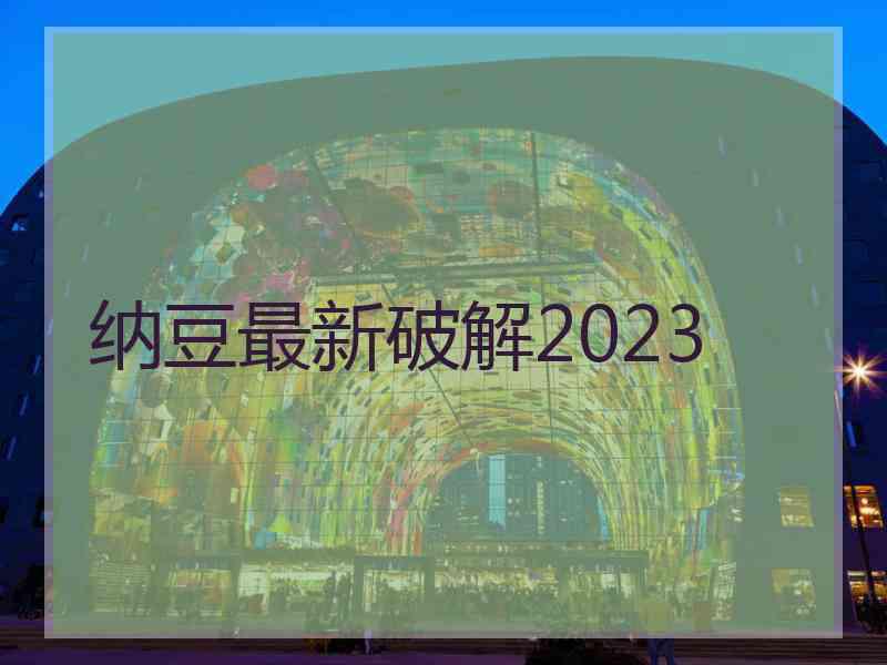 纳豆最新破解2023