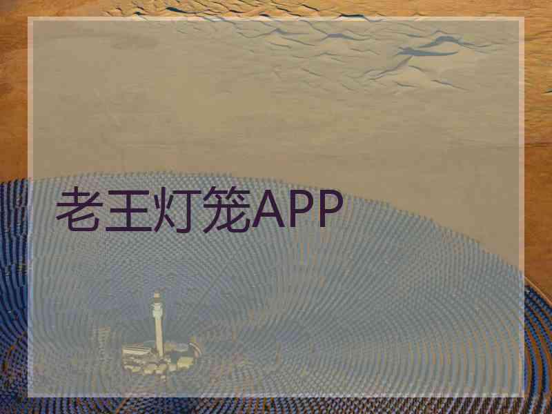 老王灯笼APP