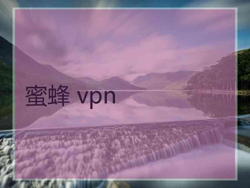 蜜蜂 vpn