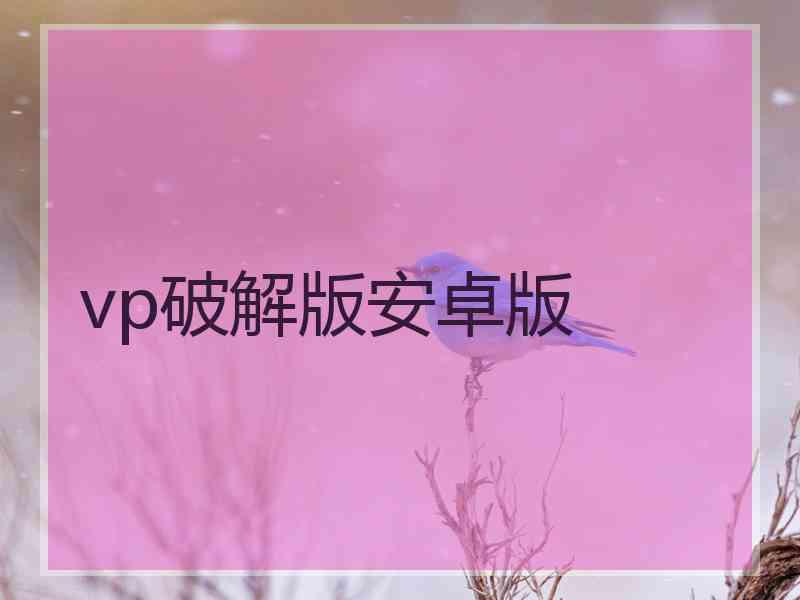 vp破解版安卓版