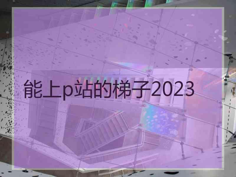 能上p站的梯子2023