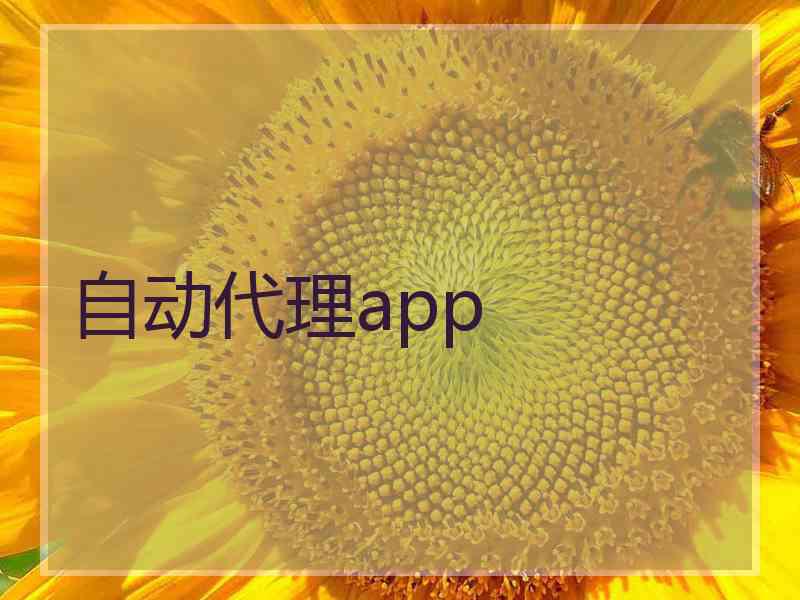 自动代理app