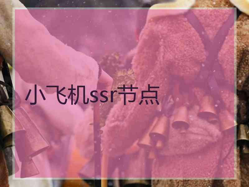 小飞机ssr节点