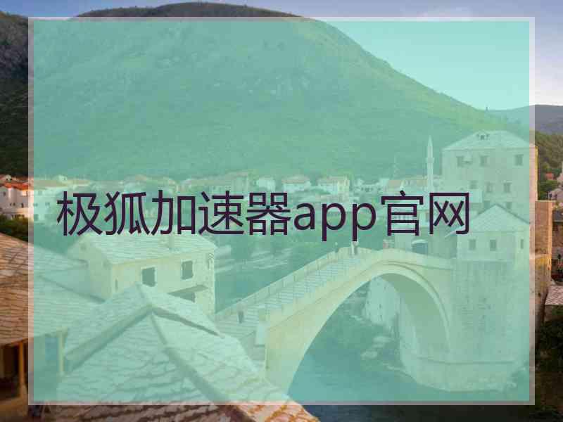 极狐加速器app官网