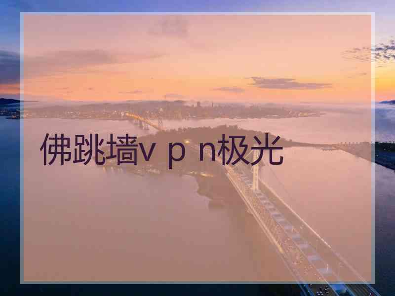 佛跳墙v p n极光