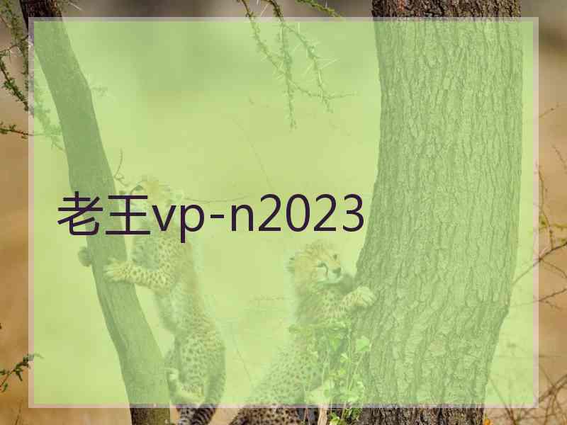 老王vp-n2023