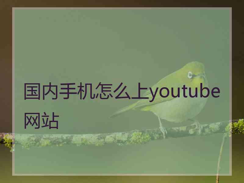 国内手机怎么上youtube网站