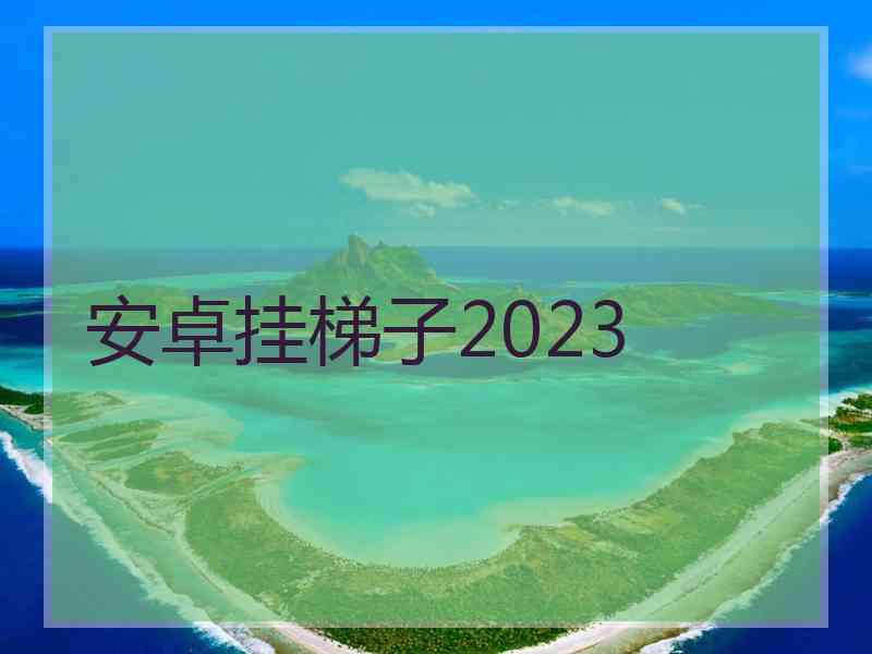 安卓挂梯子2023