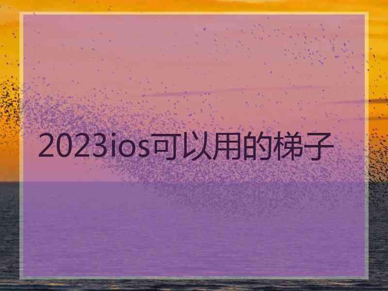 2023ios可以用的梯子