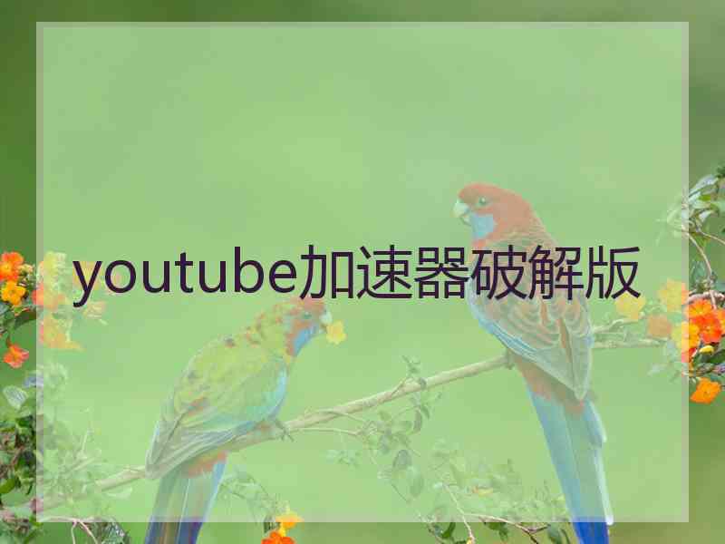 youtube加速器破解版