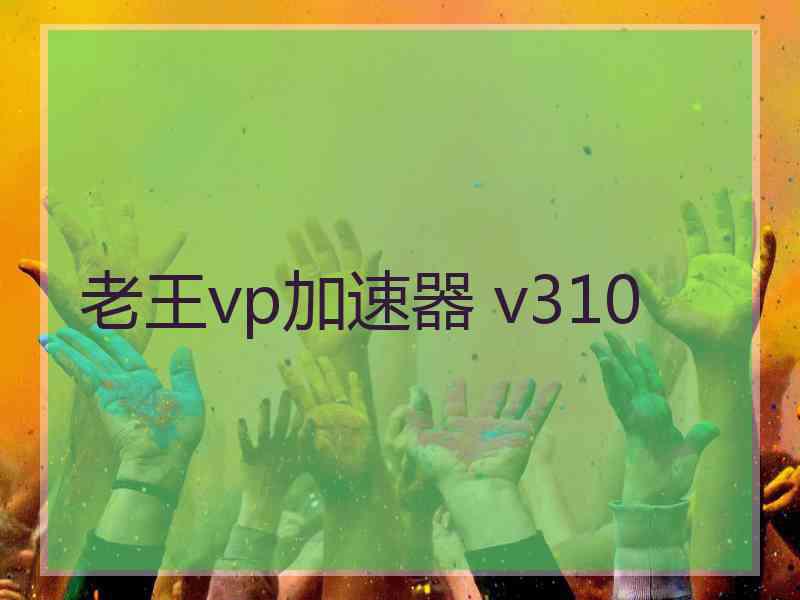 老王vp加速器 v310