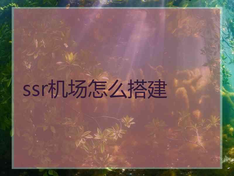 ssr机场怎么搭建