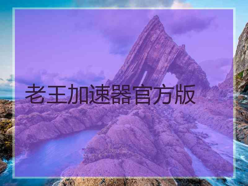 老王加速器官方版