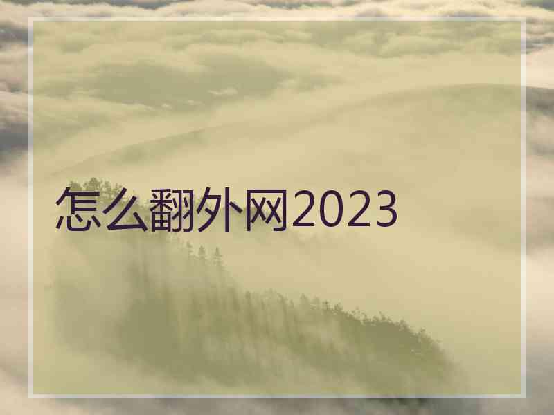 怎么翻外网2023