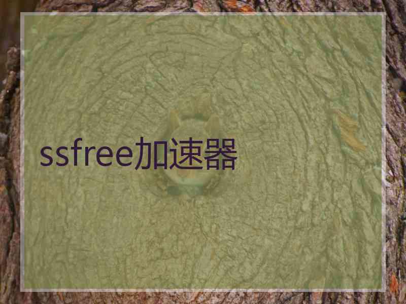 ssfree加速器