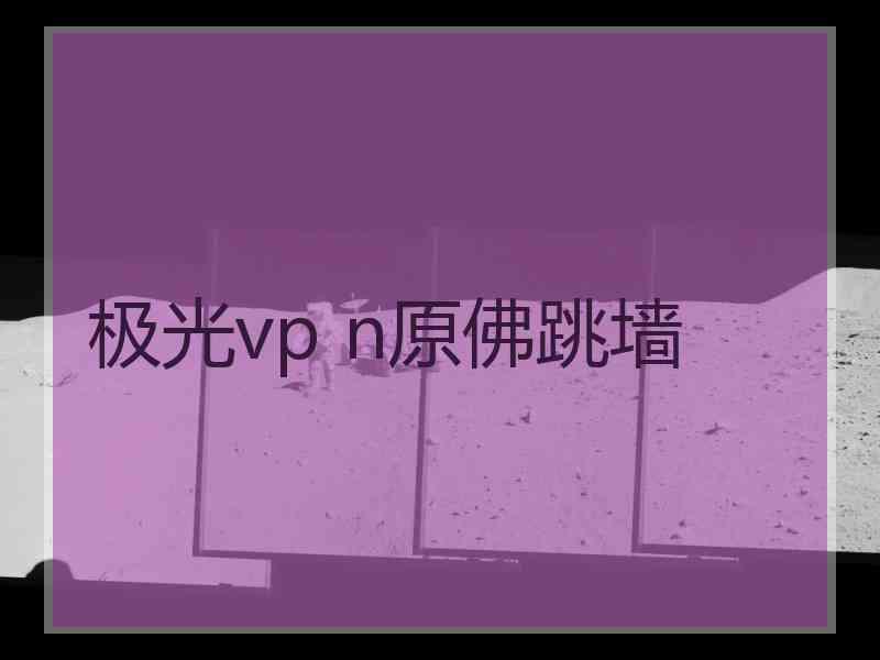 极光vp n原佛跳墙