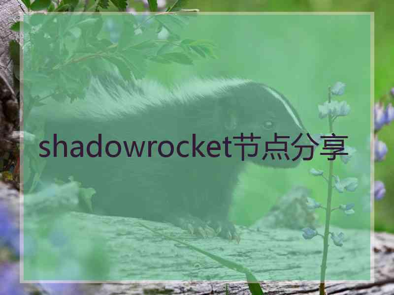 shadowrocket节点分享