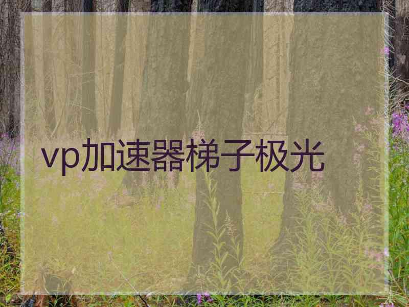 vp加速器梯子极光