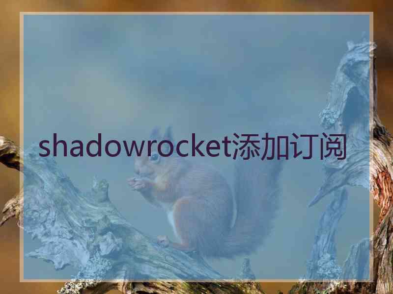 shadowrocket添加订阅