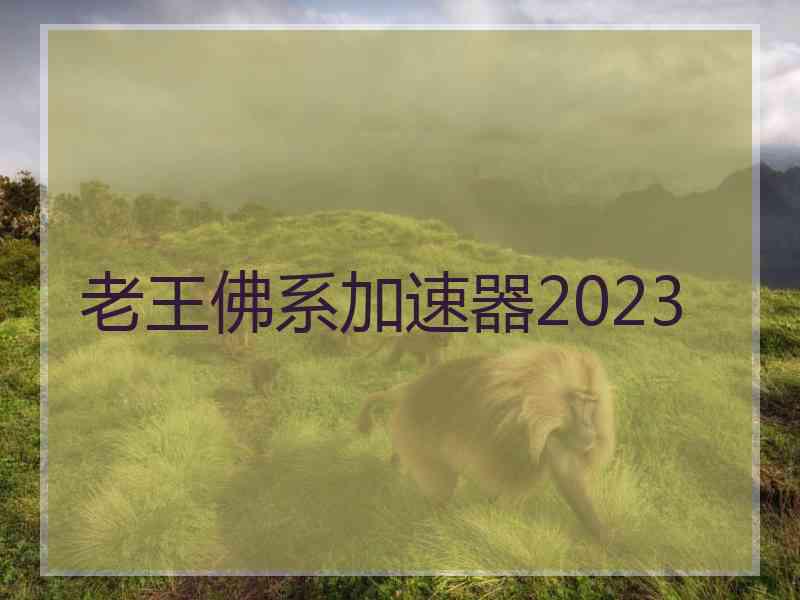 老王佛系加速器2023