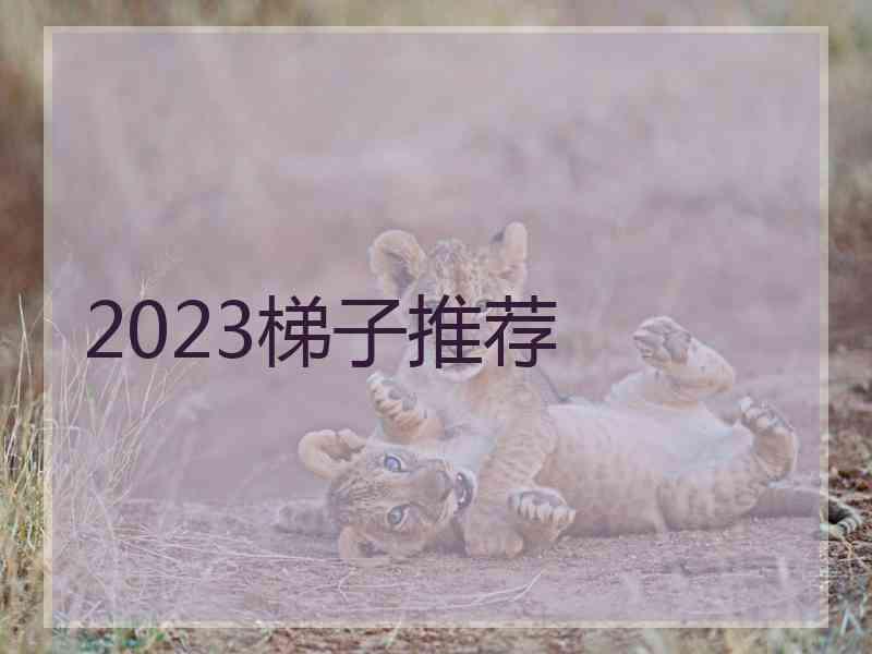 2023梯子推荐