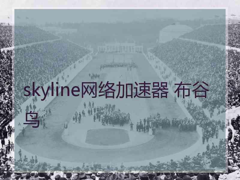 skyline网络加速器 布谷鸟