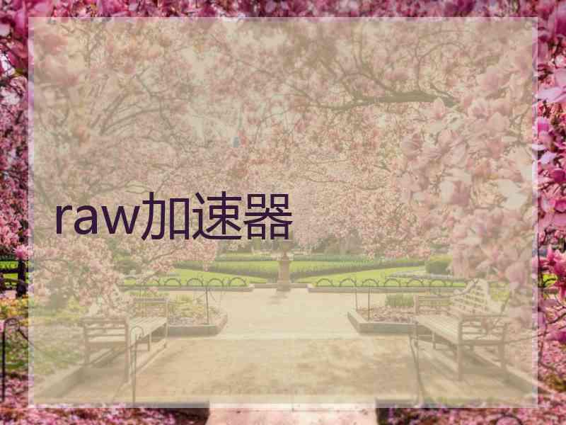 raw加速器