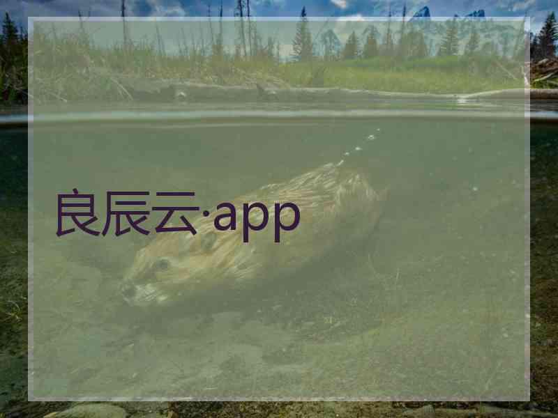 良辰云·app