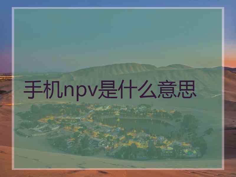 手机npv是什么意思