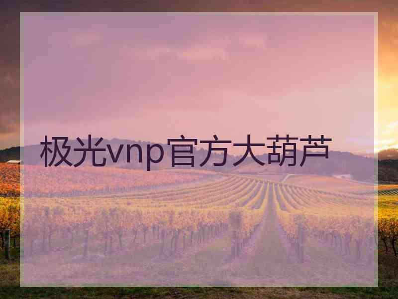 极光vnp官方大葫芦