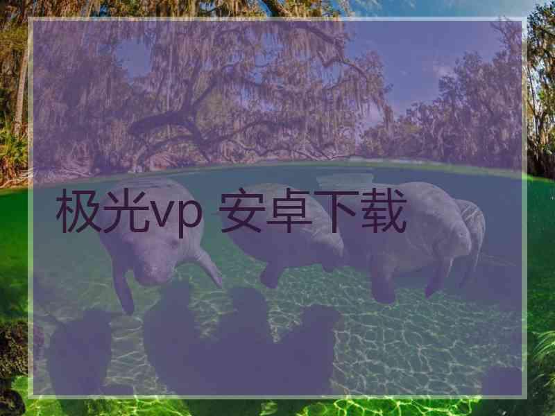 极光vp 安卓下载